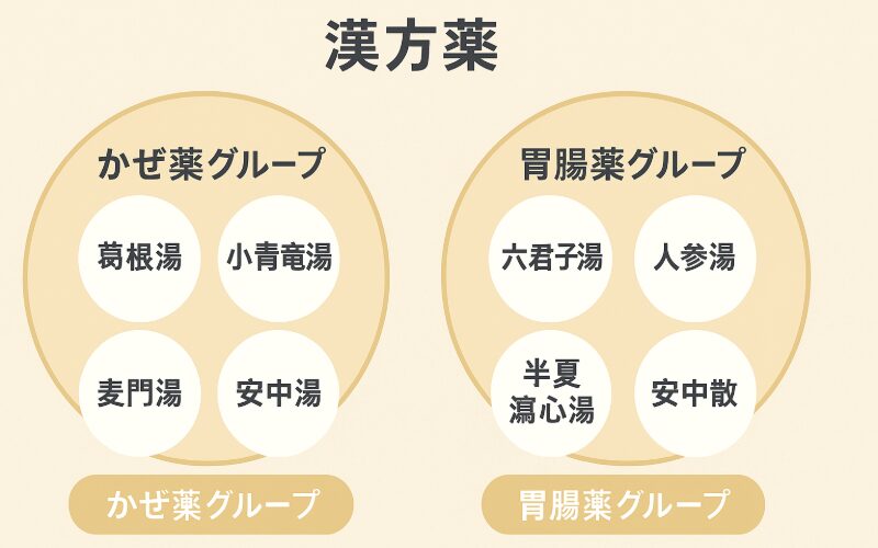 漢方をグループで覚える学習法
